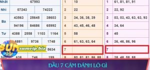 Đầu 7 câm đánh lô gì