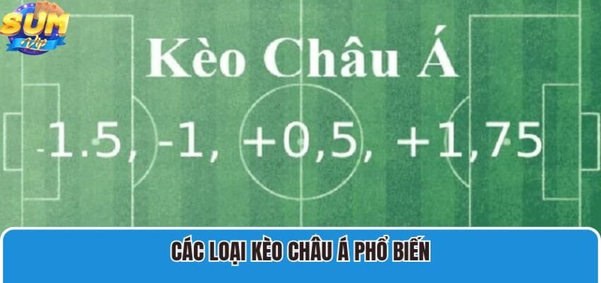 Nắm rõ các loại kèo châu Á điển hình sẽ giúp người chơi đặt cược chính xác