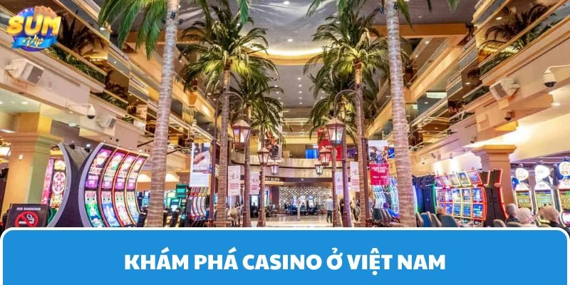 Khám phá sòng bạc ở Việt Nam là chủ đề được nhiều người chơi quan tâm